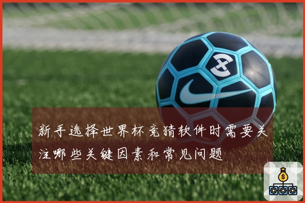 新手选择世界杯竞猜软件时需要关注哪些关键因素和常见问题