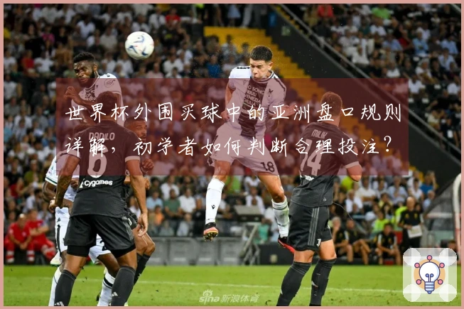 世界杯外围买球中的亚洲盘口规则详解，初学者如何判断合理投注？